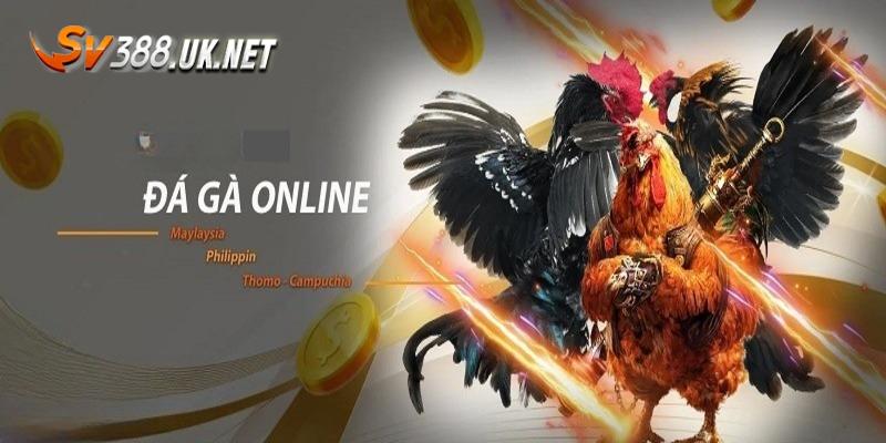 Đá Gà Online | Bật Mí 3 Chiến Thuật Chắc Thắng Từ Cao Thủ Đá Gà Online | Bật Mí 3 Chiến Thuật Chắc Thắng Từ Cao Thủ