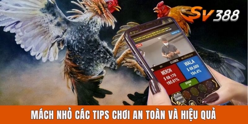Mách nhỏ các tips chơi an toàn và hiệu quả