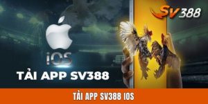 Tải App Sv388 iOS | Chỉ Dẫn 4 Bước Download Ứng Dụng A - Z