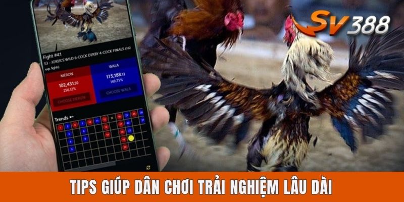 Tips giúp dân chơi trải nghiệm lâu dài
