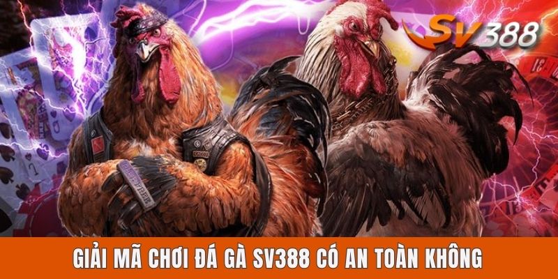 Giải mã chơi đá gà Sv388 có an toàn không