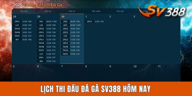 Lịch Thi Đấu Đá Gà Sv388 Hôm Nay | Tra Cứu Tin Mới Nhất 2025