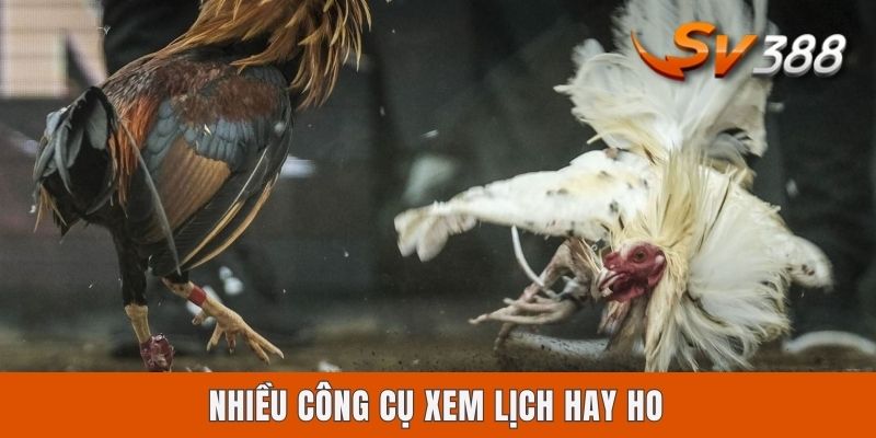 Nhiều công cụ xem lịch hay ho